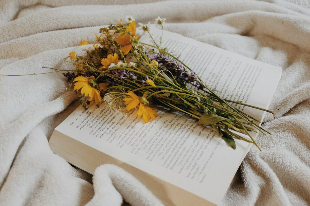 cozy reading nook